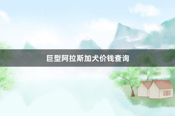 巨型阿拉斯加犬价钱查询